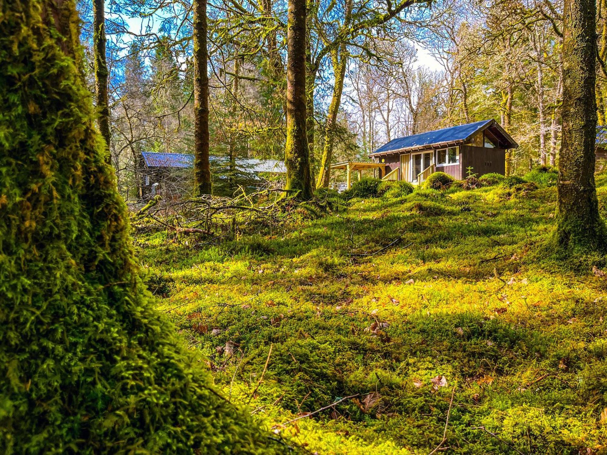 Loch Aweside Forest Cabins Dalavich Værelse billede
